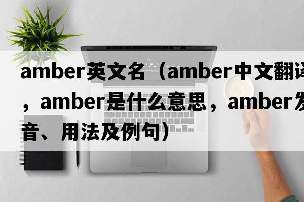 amber英文名（amber中文翻譯，amber是什么意思，amber發(fā)音、用法及例句）