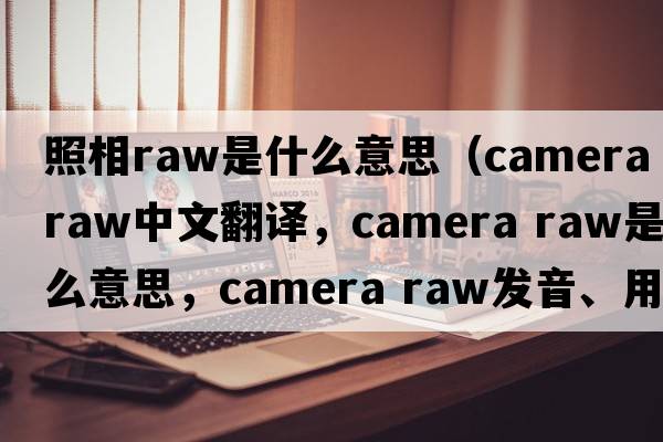 照相raw是什么意思（camera raw中文翻譯，camera raw是什么意思，camera raw發(fā)音、用法及例句）