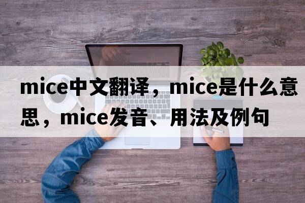 mice中文翻譯，mice是什么意思，mice發(fā)音、用法及例句