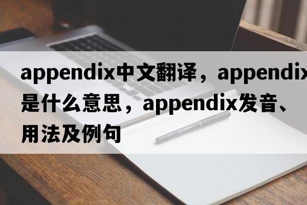 appendix中文翻譯，appendix是什么意思，appendix發(fā)音、用法及例句