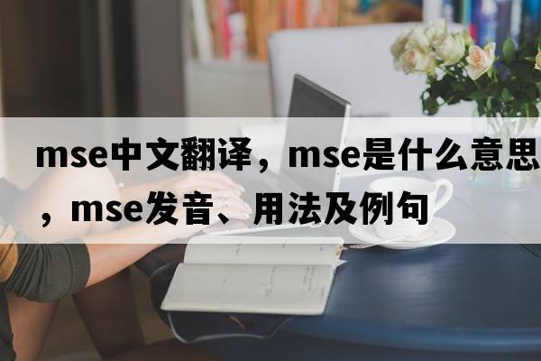 mse中文翻譯，mse是什么意思，mse發(fā)音、用法及例句