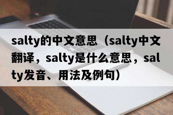 salty的中文意思（salty中文翻譯，salty是什么意思，salty發(fā)音、用法及例句）