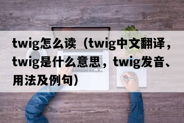 twig怎么讀（twig中文翻譯，twig是什么意思，twig發(fā)音、用法及例句）