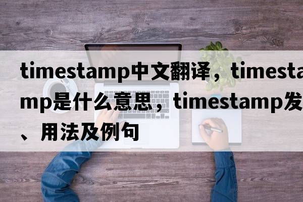 timestamp中文翻譯，timestamp是什么意思，timestamp發(fā)音、用法及例句