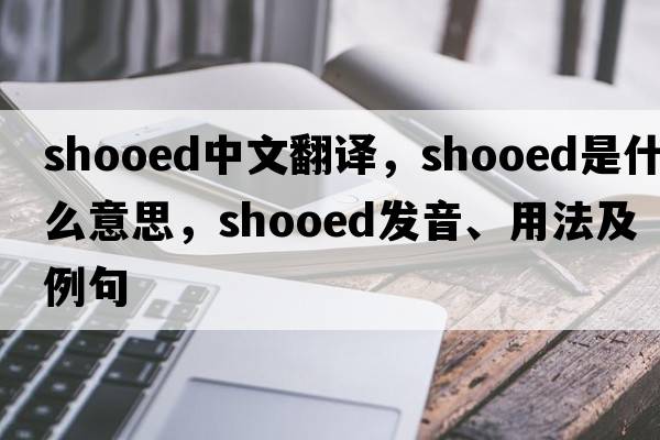 shooed中文翻譯，shooed是什么意思，shooed發(fā)音、用法及例句
