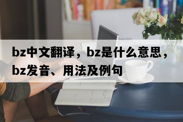 bz中文翻譯，bz是什么意思，bz發(fā)音、用法及例句