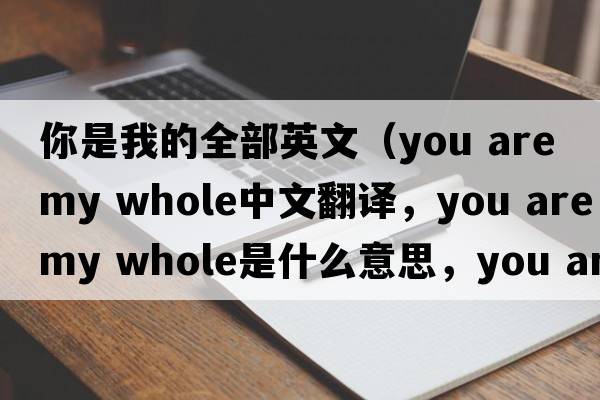 你是我的全部英文（you are my whole中文翻譯，you are my whole是什么意思，you are my whole發(fā)音、用法及例句）