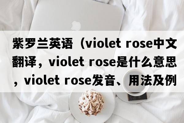 紫羅蘭英語(yǔ)（violet rose中文翻譯，violet rose是什么意思，violet rose發(fā)音、用法及例句）