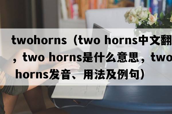 twohorns（two horns中文翻譯，two horns是什么意思，two horns發(fā)音、用法及例句）