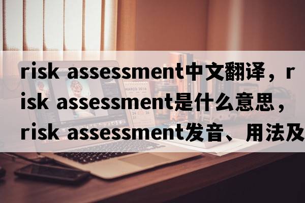 risk assessment中文翻譯，risk assessment是什么意思，risk assessment發(fā)音、用法及例句