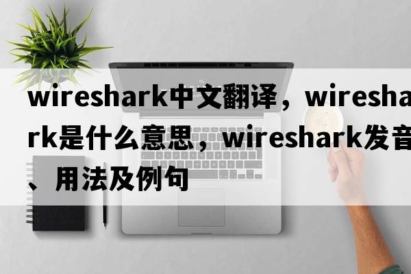 wireshark中文翻譯，wireshark是什么意思，wireshark發(fā)音、用法及例句