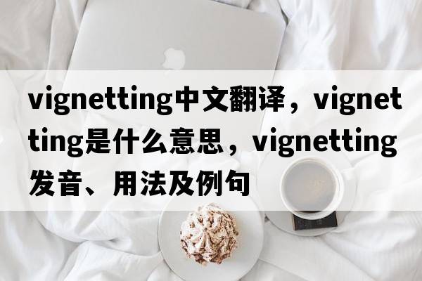 vignetting中文翻譯，vignetting是什么意思，vignetting發(fā)音、用法及例句
