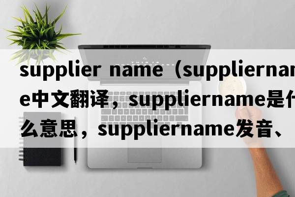supplier name（suppliername中文翻譯，suppliername是什么意思，suppliername發(fā)音、用法及例句）