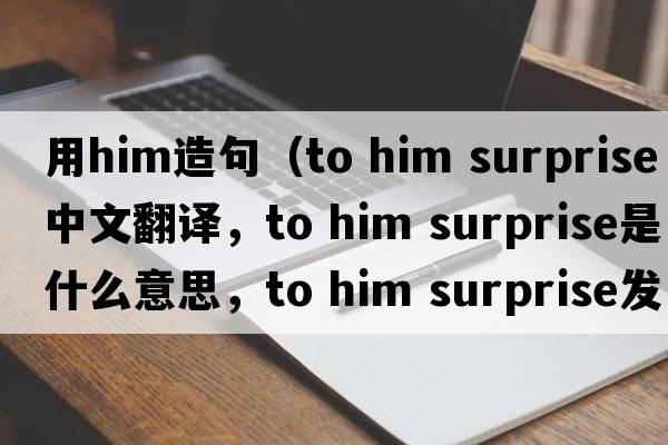 用him造句（to him surprise中文翻譯，to him surprise是什么意思，to him surprise發(fā)音、用法及例句）