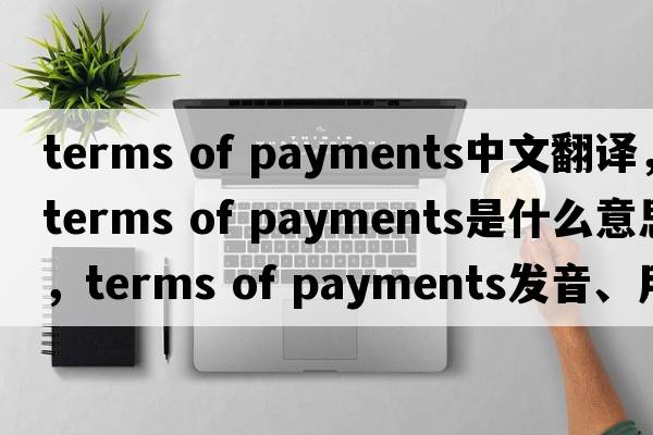 terms of payments中文翻譯，terms of payments是什么意思，terms of payments發(fā)音、用法及例句
