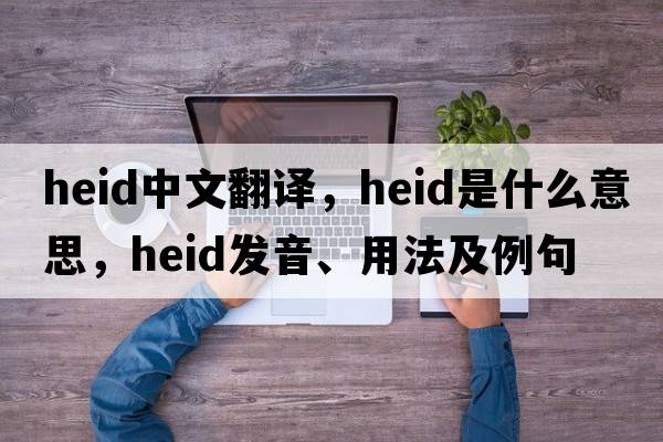 Heid中文翻譯，Heid是什么意思，Heid發(fā)音、用法及例句