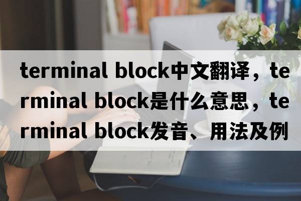 terminal block中文翻譯，terminal block是什么意思，terminal block發(fā)音、用法及例句