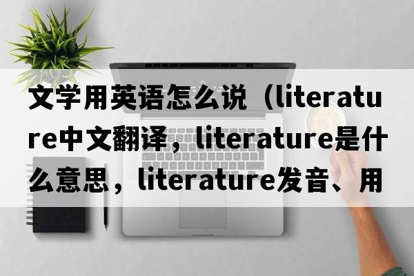 文學(xué)用英語(yǔ)怎么說(shuō)（literature中文翻譯，literature是什么意思，literature發(fā)音、用法及例句）