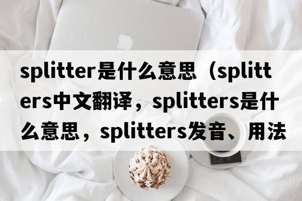splitter是什么意思（splitters中文翻譯，splitters是什么意思，splitters發(fā)音、用法及例句）
