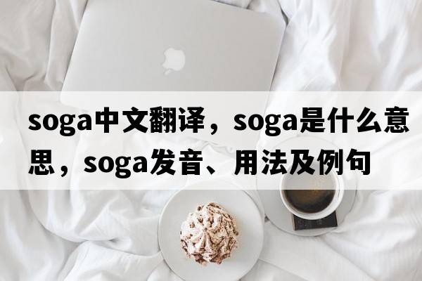 soga中文翻譯，soga是什么意思，soga發(fā)音、用法及例句