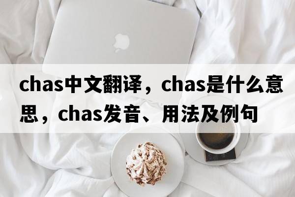 chas中文翻譯，chas是什么意思，chas發(fā)音、用法及例句