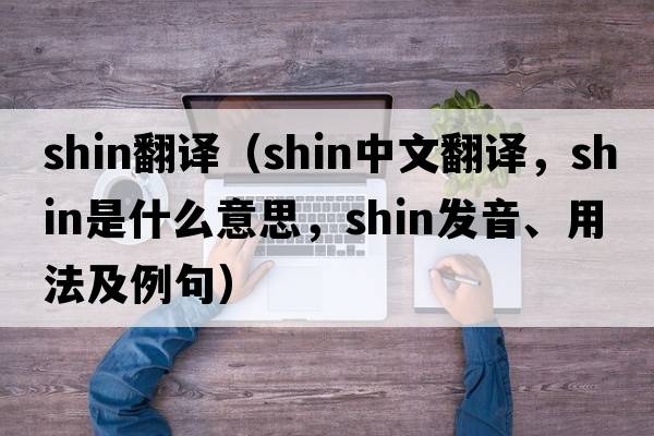 shin翻譯（shin中文翻譯，shin是什么意思，shin發(fā)音、用法及例句）