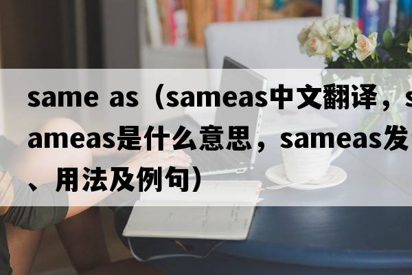 same as（sameas中文翻譯，sameas是什么意思，sameas發(fā)音、用法及例句）