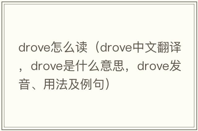 drove怎么讀（drove中文翻譯，drove是什么意思，drove發(fā)音、用法及例句）