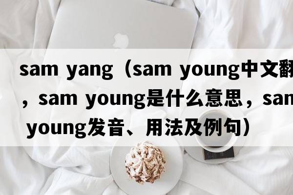 sam yang（sam young中文翻譯，sam young是什么意思，sam young發(fā)音、用法及例句）