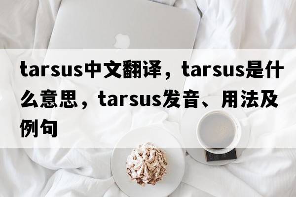 tarsus中文翻譯，tarsus是什么意思，tarsus發(fā)音、用法及例句