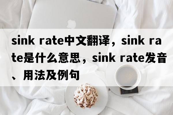 sink rate中文翻譯，sink rate是什么意思，sink rate發(fā)音、用法及例句