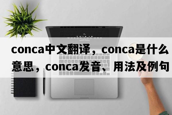 conca中文翻譯，conca是什么意思，conca發(fā)音、用法及例句