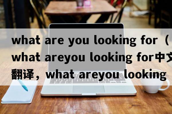 what are you looking for（what areyou looking for中文翻譯，what areyou looking for是什么意思，what areyou lookin