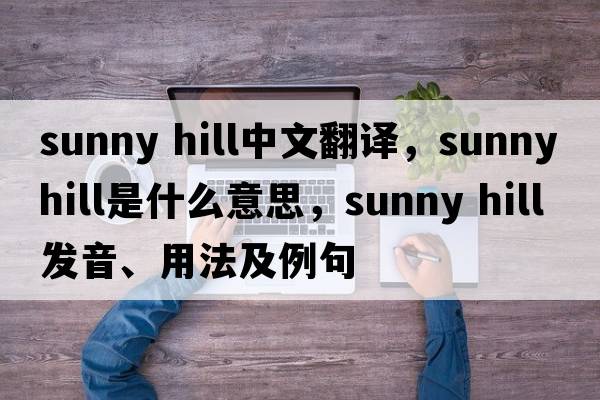 sunny hill中文翻譯，sunny hill是什么意思，sunny hill發(fā)音、用法及例句