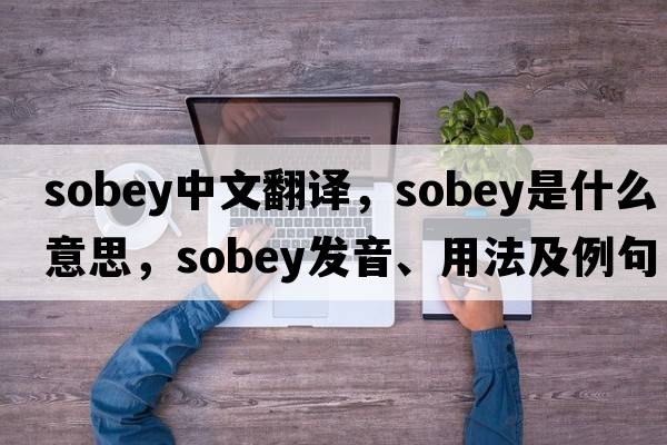 sobey中文翻譯，sobey是什么意思，sobey發(fā)音、用法及例句
