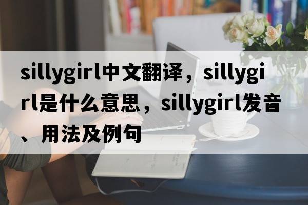 sillygirl中文翻譯，sillygirl是什么意思，sillygirl發(fā)音、用法及例句