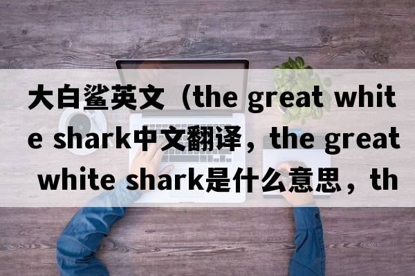 大白鯊英文（the great white shark中文翻譯，the great white shark是什么意思，the great white shark發(fā)音、用法及例句）