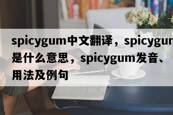 spicygum中文翻譯，spicygum是什么意思，spicygum發(fā)音、用法及例句