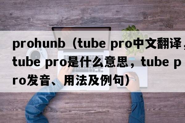 prohunb（tube pro中文翻譯，tube pro是什么意思，tube pro發(fā)音、用法及例句）