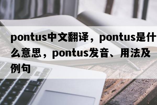 Pontus中文翻譯，Pontus是什么意思，Pontus發(fā)音、用法及例句