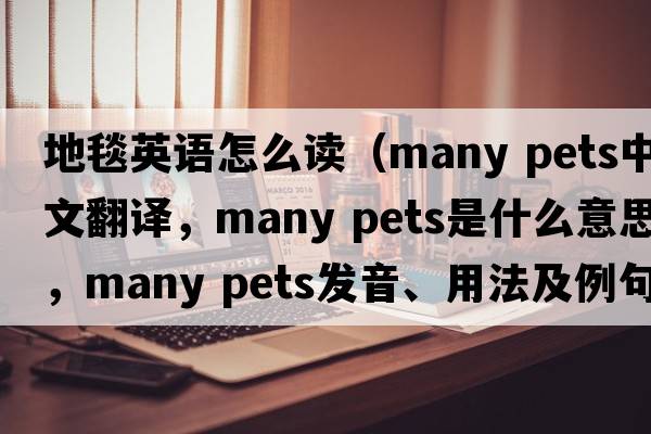 地毯英語(yǔ)怎么讀（many pets中文翻譯，many pets是什么意思，many pets發(fā)音、用法及例句）