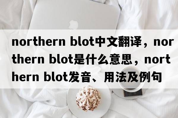 northern blot中文翻譯，northern blot是什么意思，northern blot發(fā)音、用法及例句