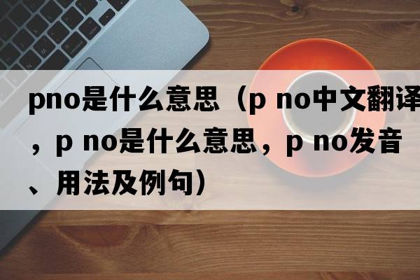 pno是什么意思（p no中文翻譯，p no是什么意思，p no發(fā)音、用法及例句）
