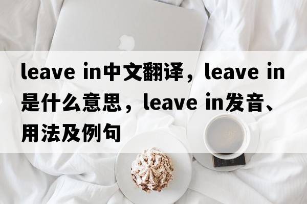 leave in中文翻譯，leave in是什么意思，leave in發(fā)音、用法及例句