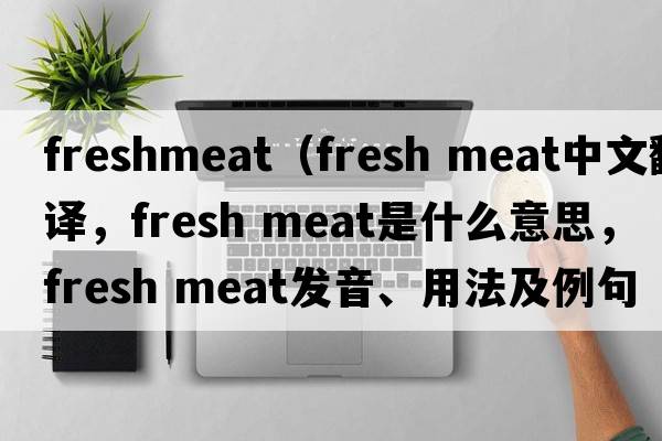 freshmeat（fresh meat中文翻譯，fresh meat是什么意思，fresh meat發(fā)音、用法及例句）