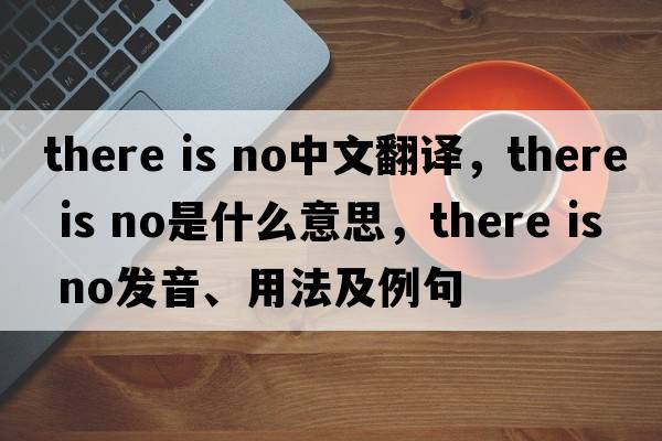 There is no中文翻譯，There is no是什么意思，There is no發(fā)音、用法及例句