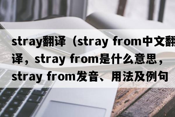 stray翻譯（stray from中文翻譯，stray from是什么意思，stray from發(fā)音、用法及例句）