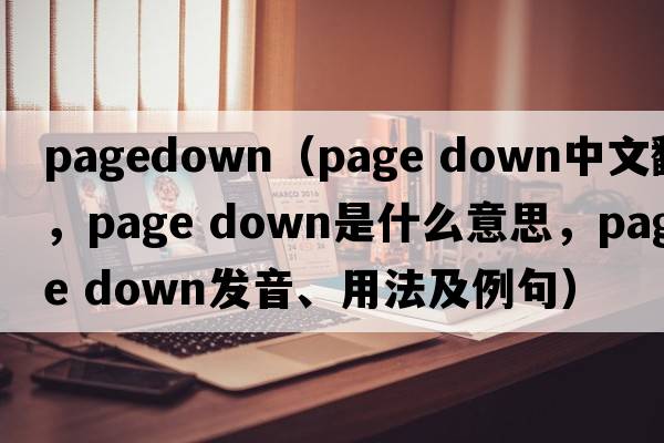 pagedown（page down中文翻譯，page down是什么意思，page down發(fā)音、用法及例句）