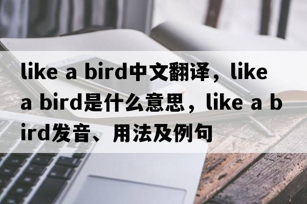 like a bird中文翻譯，like a bird是什么意思，like a bird發(fā)音、用法及例句