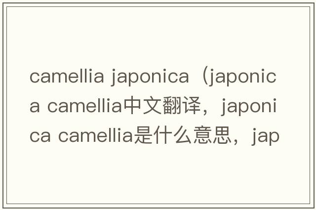 camellia japonica（japonica camellia中文翻譯，japonica camellia是什么意思，japonica camellia發(fā)音、用法及例句）